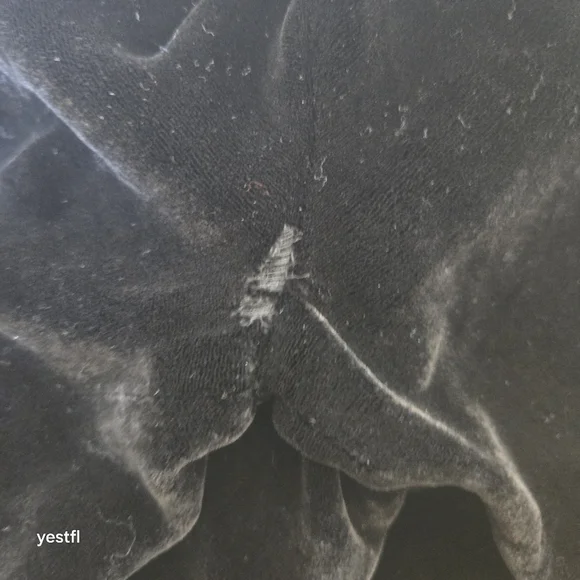 Eileen Fisher Maxi Black Velvet Dress S rayon silk - Picture 6 of 6